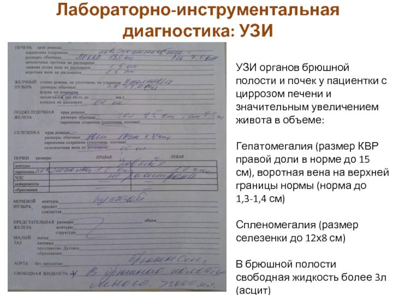 Что входит в узи. Направление на УЗИ брюшной полости. Протокол ультразвукового исследования органов брюшной полости. Направление на УЗИ внутренних органов. Направление на УЗИ органов брюшной полости и почек.