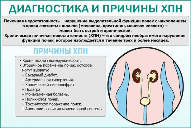 Первые результаты формирования российского регистра хронической почечной недостаточности у детей  - российское диализное общество