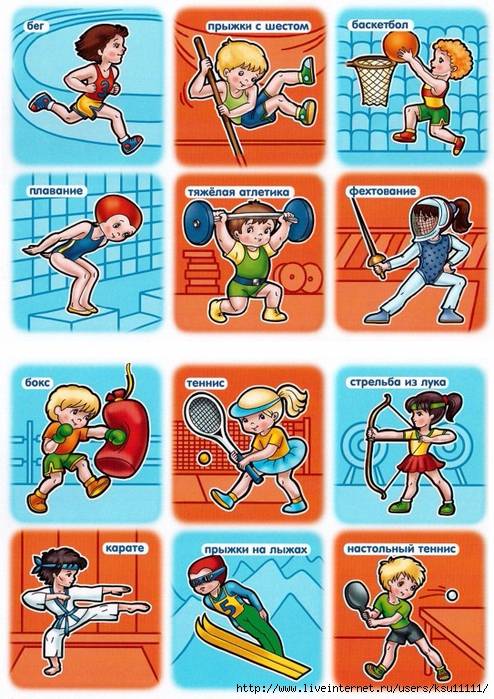 Какой спорт выбрать? виды спорта для ребенка и взрослого, советы психологов