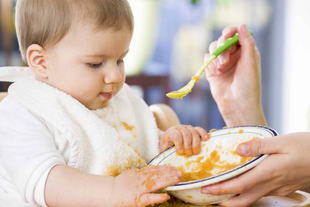Прикорм: покупать готовое питание или готовить самостоятельно? детское питание для прикорма: готовим сами или покупаем?