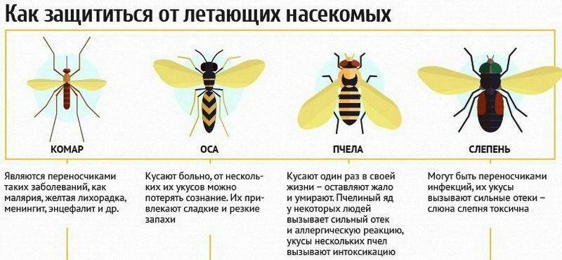 Укусы насекомых: как снять зуд и воспаление?