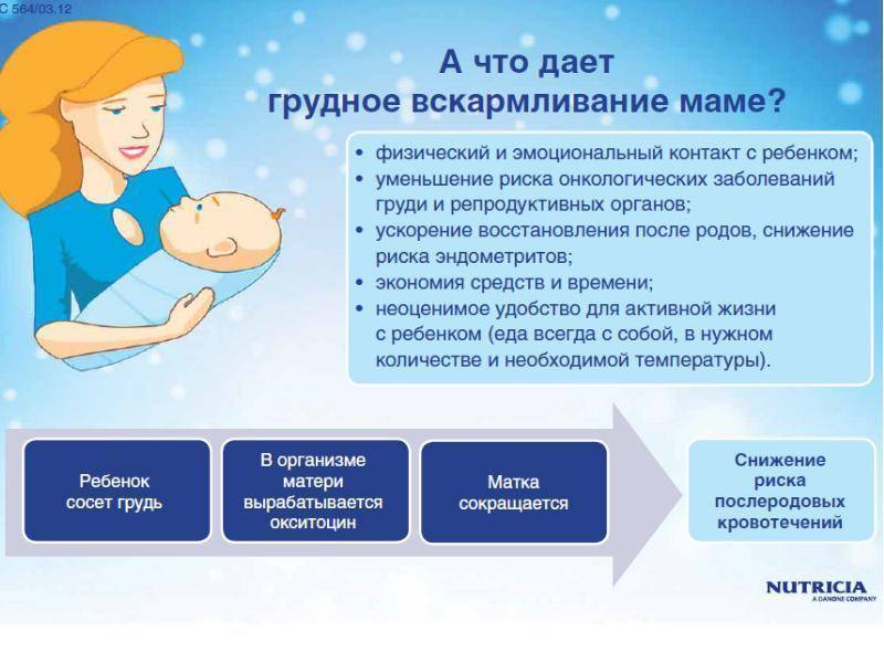 Кормление малыша: самые вредные продукты и типичные ошибки мам - сибирский медицинский портал