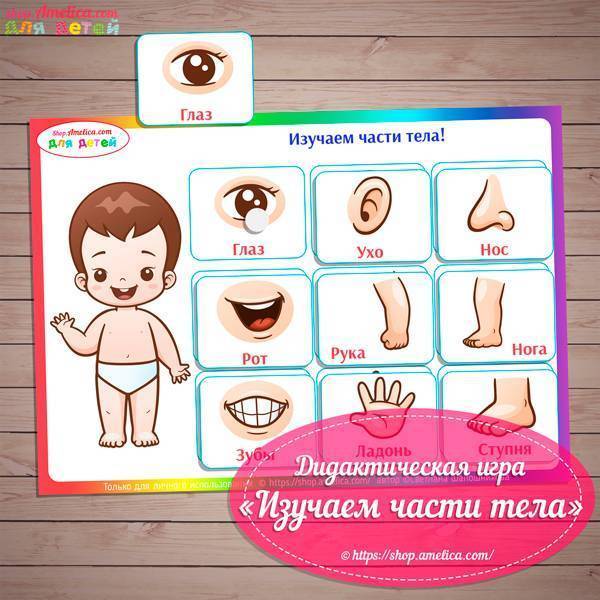 Игровые технологии по лексической теме «человек. части тела человека. кто я? какой, я?» план-конспект занятия по развитию речи (старшая группа) на тему