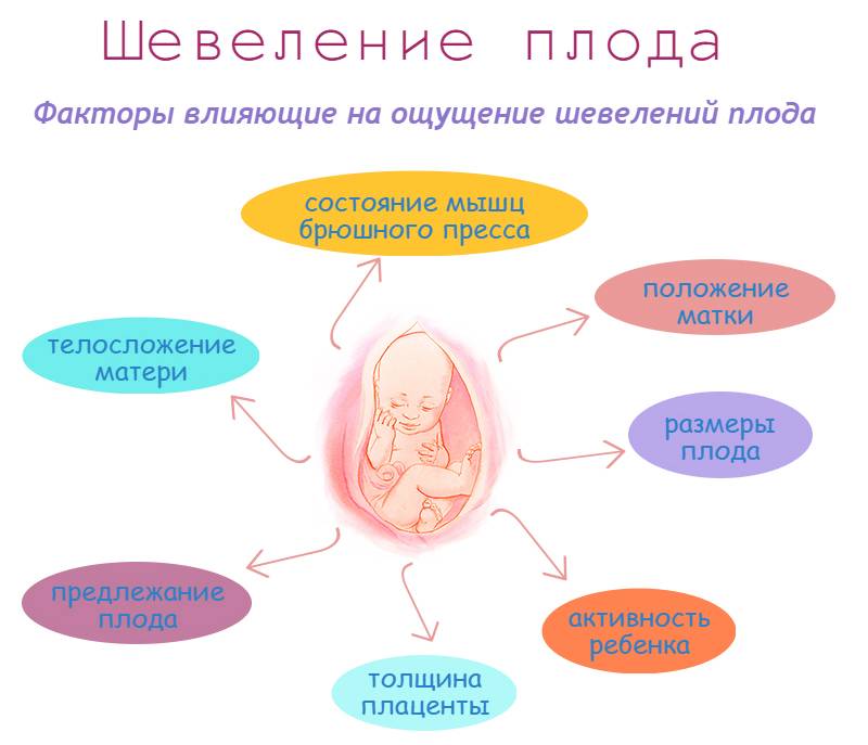 20 неделя беременности: как часто должен шевелиться ребенок, что происходит с малышом и мамой