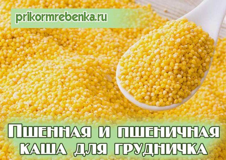 Пшенная каша для ребенка 1 год - лучшие рецепты блюд - vkusnoepitanie.ru
