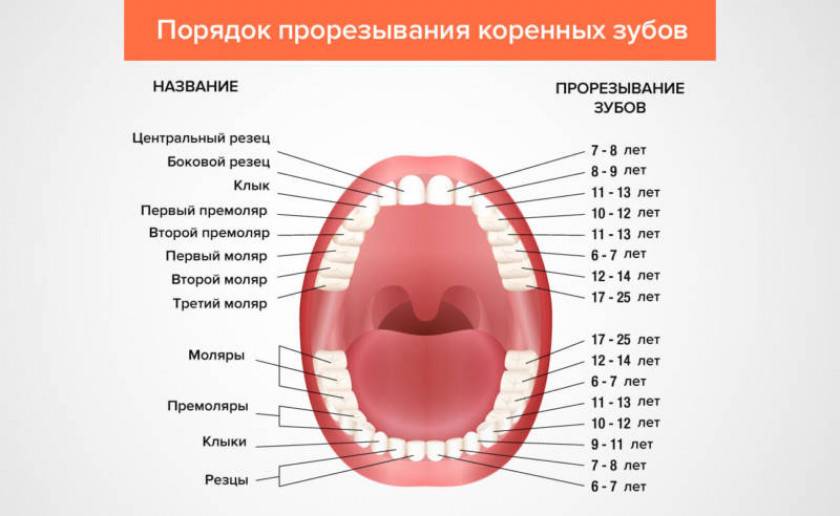 Прорезывание зубов у детей – симптомы