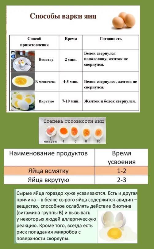 Как вводить яйцо в прикорм ребенку?
