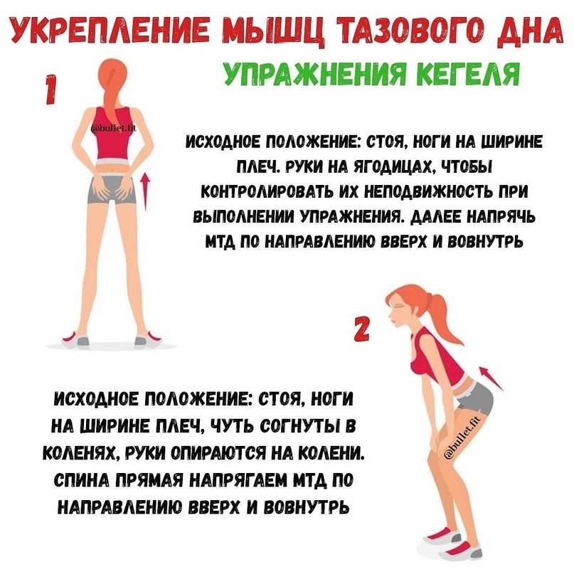 Упражнения для укрепления мышц тазового дна у женщин (упражнения кегеля)