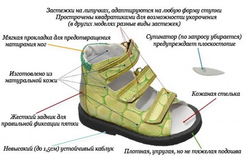 Лучшая обувь для первых шагов: секреты правильного выбора