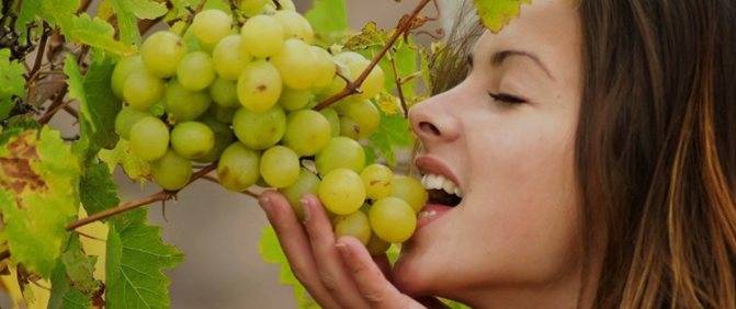 Можно ли употреблять виноград при грудном вскармливании