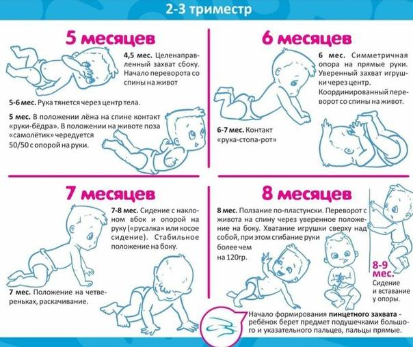 Развитие ребенка в 1 год и 8 месяцев: физическое, эмоциональное, интеллектуальное | badiga.ru