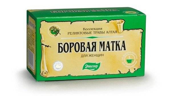 Особенности лечения эндометриоза боровой маткой | клиника "центр эко" в москве