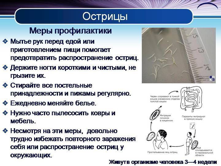 Вермокс при лямблиозе