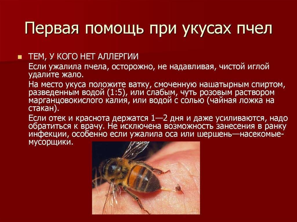 Как помочь ребенку при укусах комаров и прочих летающих тварей. рассказывает педиатр сергей бутрий