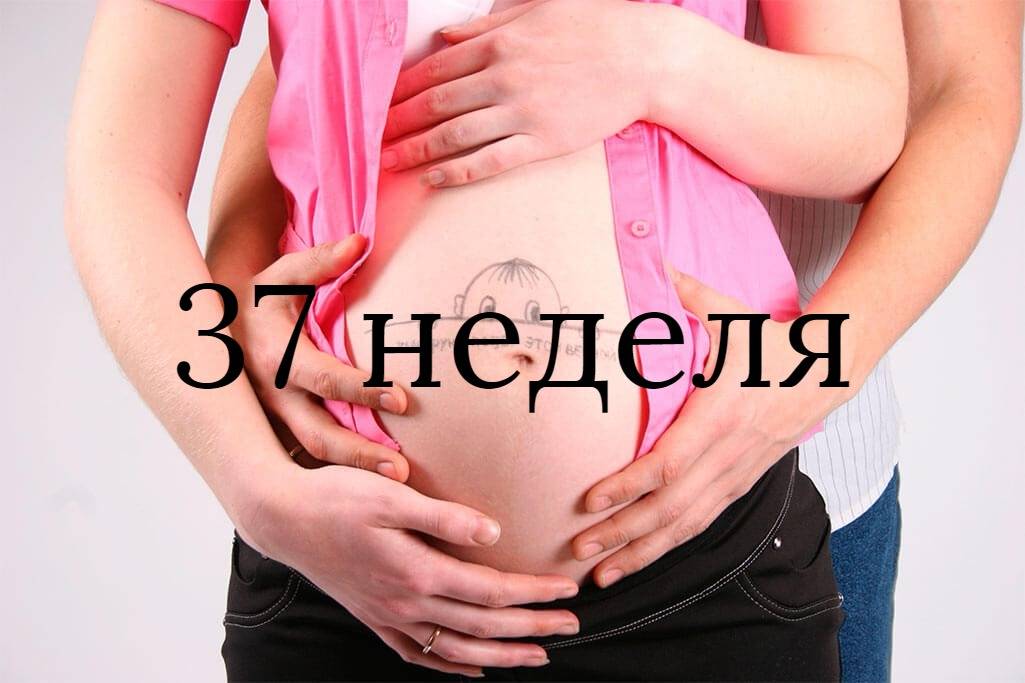 ➤ 37 неделя беременности всё что нужно знать будущим родителям