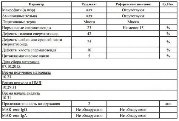 Лецитиновые зерна в спермограмме: особенности, липоидные тельца | pro-md.ru