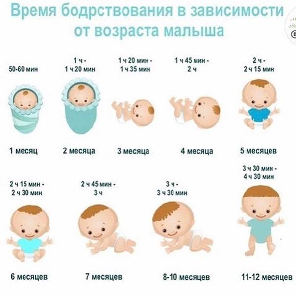 Сколько должен спать ребенок в 6-7 месяцев: сон днем, ночью (таблица)