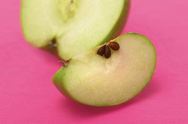Яблоки при грудном вскармливании: зеленые, печеные: можно ли их есть кормящей маме