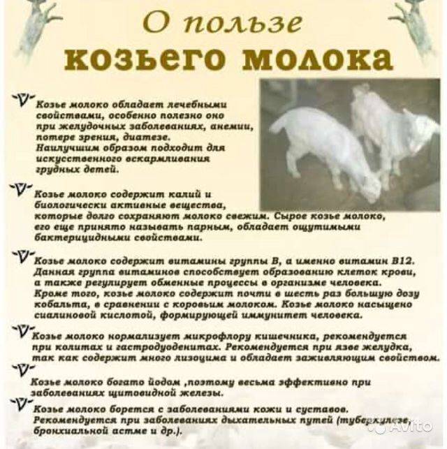 Коровье и козье молоко детям с какого возраста можно давать. какое лучше покупать для ребенка - medside.ru