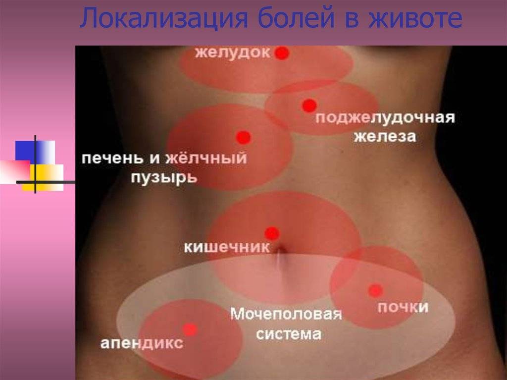 Боль в левом боку: что болит в животе слева покажет узи