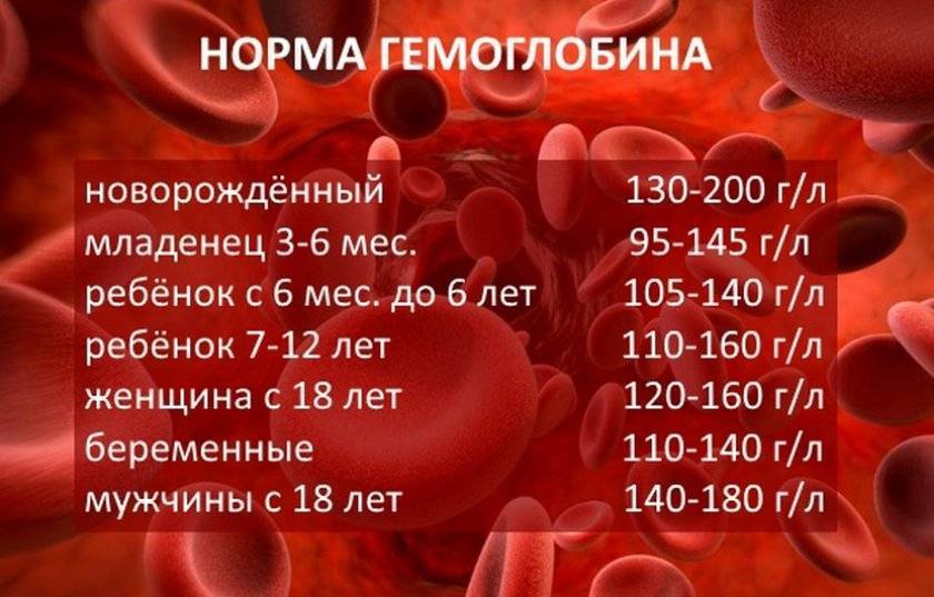 Mchc в анализе крови