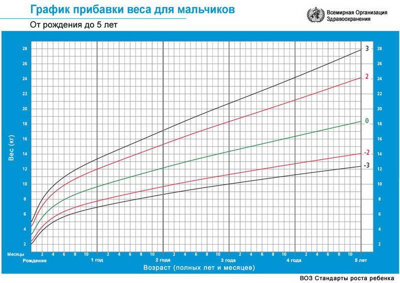Таблица нормы роста и веса детей до 17 лет по годам, месяцам по данным воз