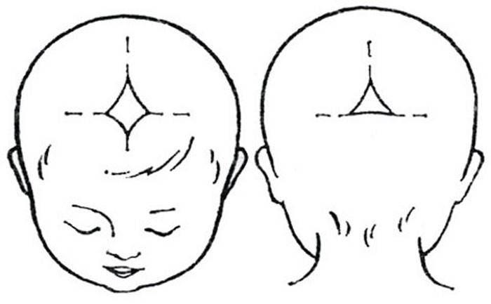 Родничок у новорожденных: зачем он нужен и о чем может предупредить родителей