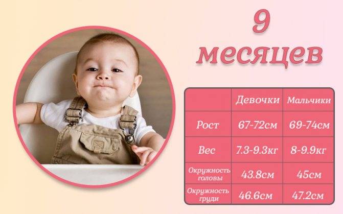 Развитие ребенка в 1 год 9 месяцев