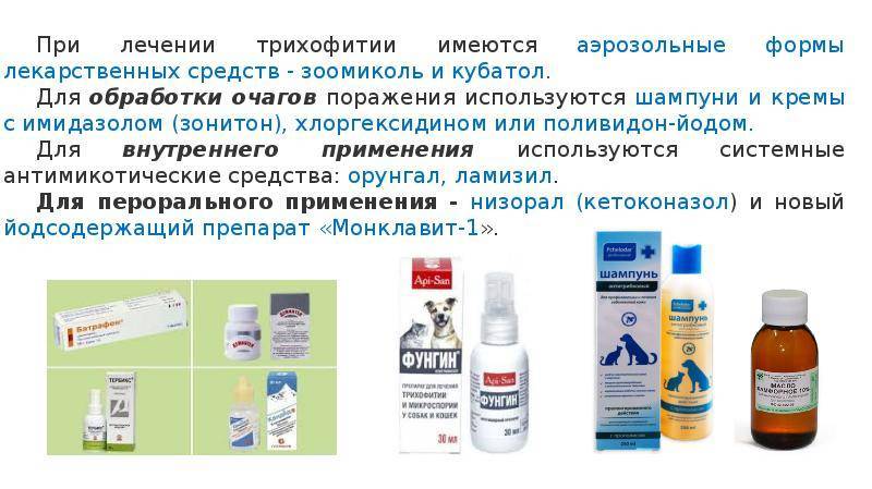 Разноцветный лишай - как лечить